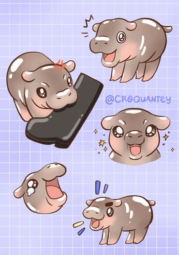 Moodeng Moods